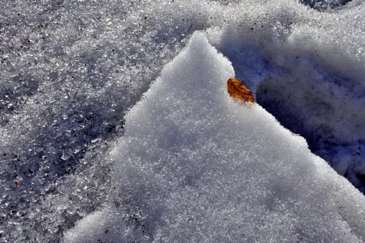 dirty melting snow closeup with brown leaves against sun