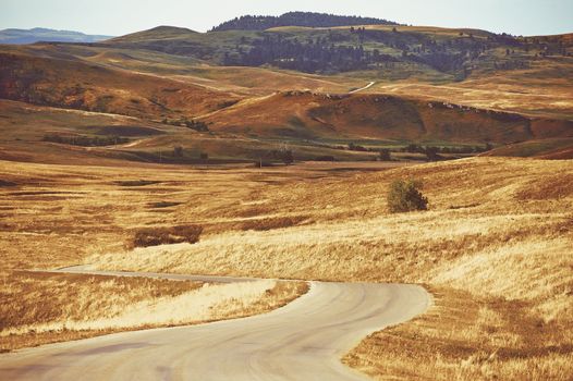 Scenic Black Hills South Dakota Summer Landscape. South Dakota, United States.