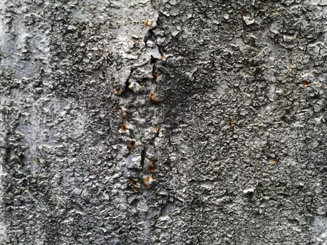Grunge  wall (urban texture)