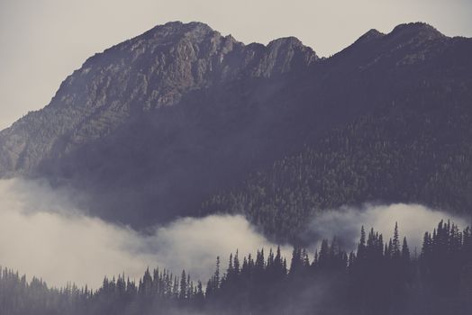 Mountains Covered By Clouds. Foggy Olympic Peninsula in the State of Washington.