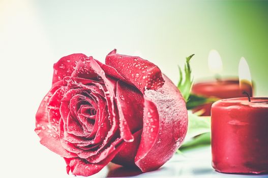 Romantic Red Rose with Burning Red Candles Valentines Day and Love Concept Photo.