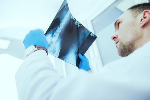 Doctor Checking Xray Results. Checking Radiology Imagery to Find Out Sickness Reason