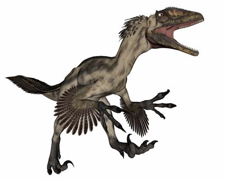 Deinocheirus dinosaur roaring isolated in white background - 3D render