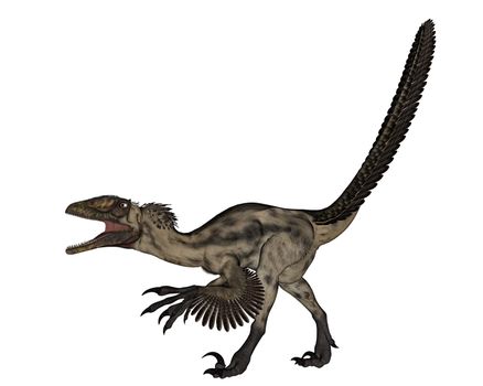 Deinocheirus dinosaur walking and roaring isolated in white background - 3D render