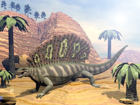 Edaphosaurus dinosaur walking in the desert among bjuvia and cordaites trees by sunny day - 3D render