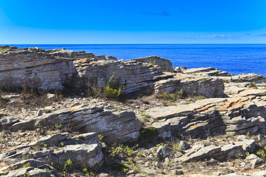Rocky Coast Extending into the Sea