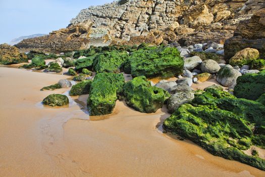 Green stones on the seashore