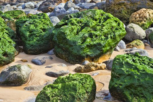 Green stones on the seashore