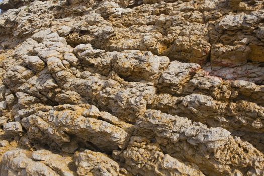 colorful texture of sea stone
