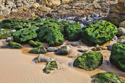 Green stones on the seashore