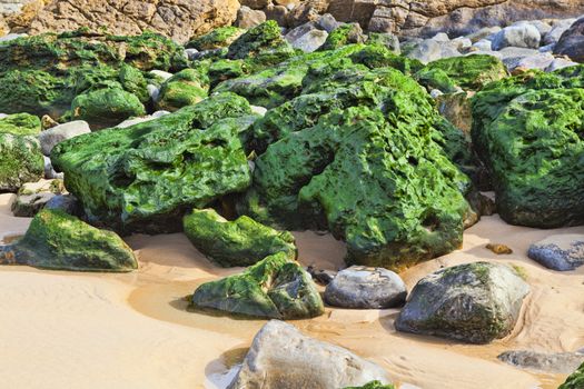 Green stones on the seashore