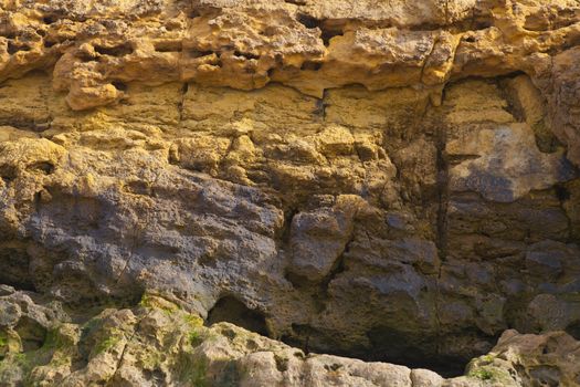 colorful texture of sea stone
