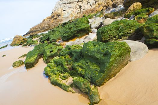 Green stones on the seashore