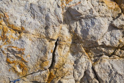 colorful texture of sea stone