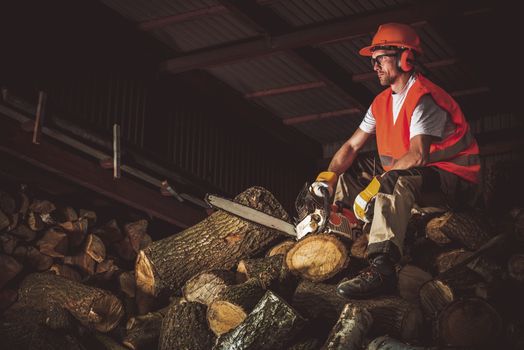 Wood Cutting Work. Caucasian Worker Resting on Pile of Chopped Firewood. 