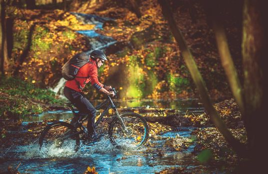 Bike RIde in the Scenic Fall Foliage Forest. Forest River Crossing. Caucasian Mountain Biker.