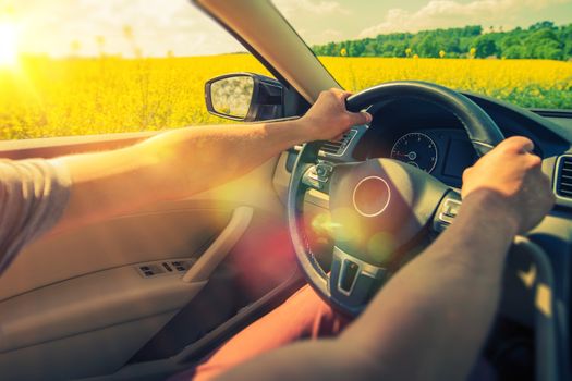 Summer Car Trip. Enjoying Car Ride Through Flowering Summer Fields.