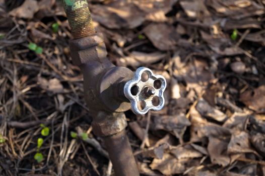 old portali tap in the garden