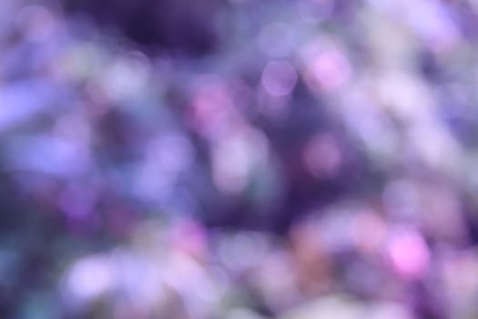 Purple and pink bokeh background, abstract colorful defocused circular