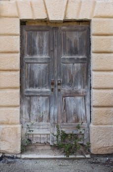 Nice structure of a renewed facade of a building with a very old wooden door. Plants growing in front of the door, they were not used for a long time.