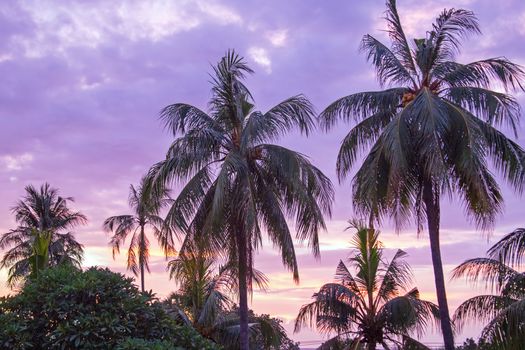 Purple sunset on Lombok Indonesia Asia