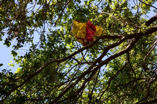 Red and Yellow balloons stuck in a tree