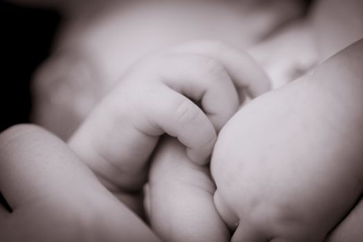 monochrome close up of a baby hands