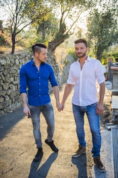 Portrait of handsome young gay couple holding hands while standing on sidewalk in sunny park