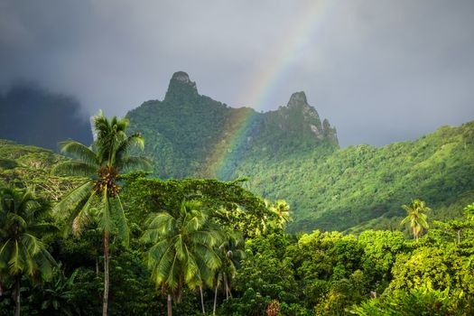 Rainbow on Moorea island jungle and mountains landscape. French Polynesia