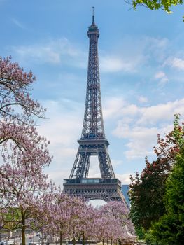 View of the Eiffel Tower among flowering trees from the Trocadero Square in spring. Paris, France.
