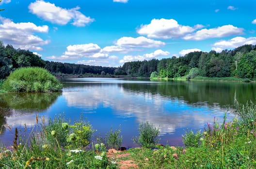 A beautiful summer landscape with a river, clouds and plants.