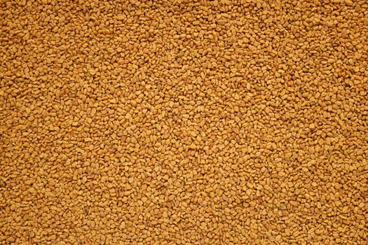 Brown aromatic fenugreek seeds as an abstract background texture