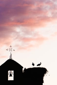 Bell tower with two storks in the nest at sunset. Vertical image.