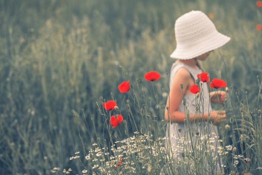 Joyful Childhood Scene. Joyful Child Between Poppy Flowers. Caucasian Girl on the Meadow.