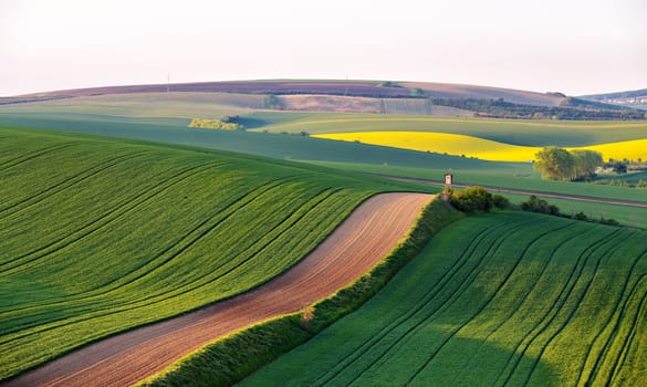 Hunting lodge on spring green fields of Czech Moravia. Shooting box on Green and yellow spring arable fields. Rural agriculture scene