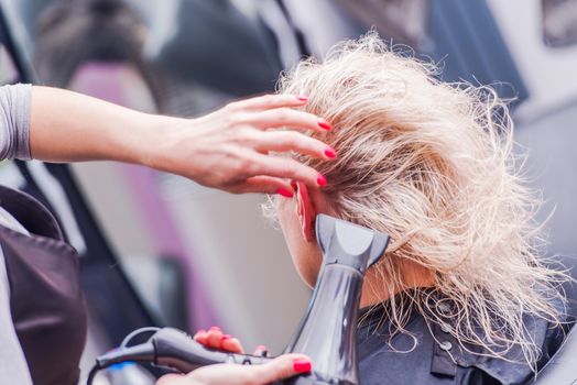 Beauty Studio Hairstylist Business. Hairdresser Drying Clients Hair by Professional Blower Dryer. 