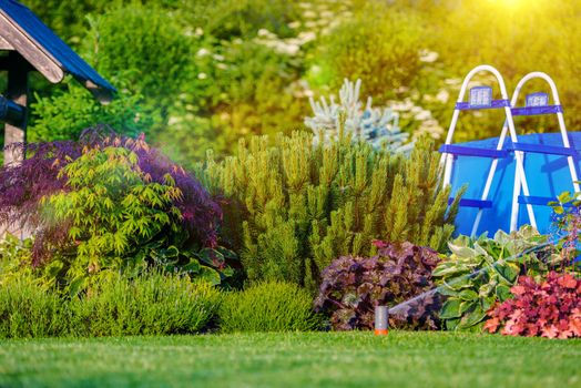 Beautiful Backyard Garden Details. Garden Watering System. Sprinkler.
