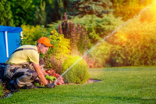 Garden Watering Systems. Garden Technician Testing Watering Sprinkler System in the Residential Garden.