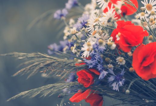 Summer Wildflower Bouquet Closeup Photo. Red Corn Poppies.