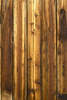 Knots and Nails - Wood Texture. Vertical Planks / Wood Boards.
