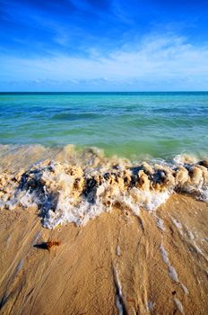 Tropical Waves - Shallow Waters of the Florida Keys. Blue Sky and Crystal Clear Water. Florida Keys, USA