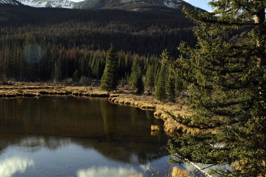 Rocky Mountain Pond. Small Lake - Pond Between Mountains. Rocky Mountains National Park.