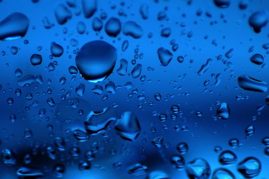 The Dew. Drops on the Glass. Water on the Glass