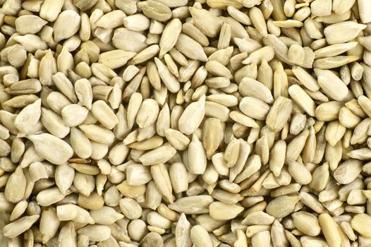 Sunflower Meat Raw - Organic Food. Natural Sunflower Meat Raw