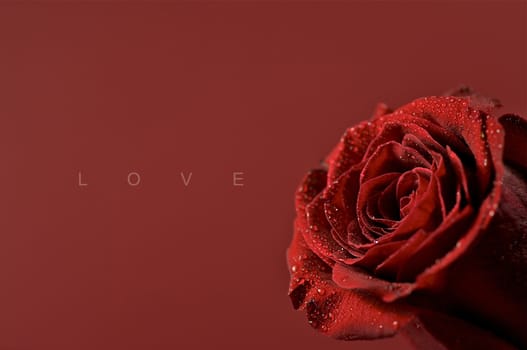 Love Theme. Clean and Elegant Romantic - Special Occasion Theme with LOVE Word. Solid Burgundy Background.