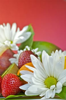 Natural Bouquet. Fresh Fruits and Flowers. Vertical Photo