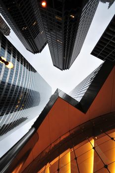 The Skyscrapers. Chicago Downtown Architecture. Portrait Photo