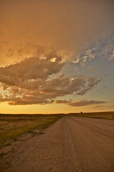 Country Road. Great American Plains Road at Sunset. Vertical Photo.