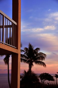 Exotic Balcony View. Palms and Ocean