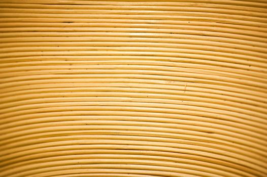 Wattle Background - Horizontal Wattle Photo Background